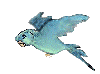 LES PLUS BEAUX OISEAUX OISEAUX DU MONDE :LES PERRUCHES